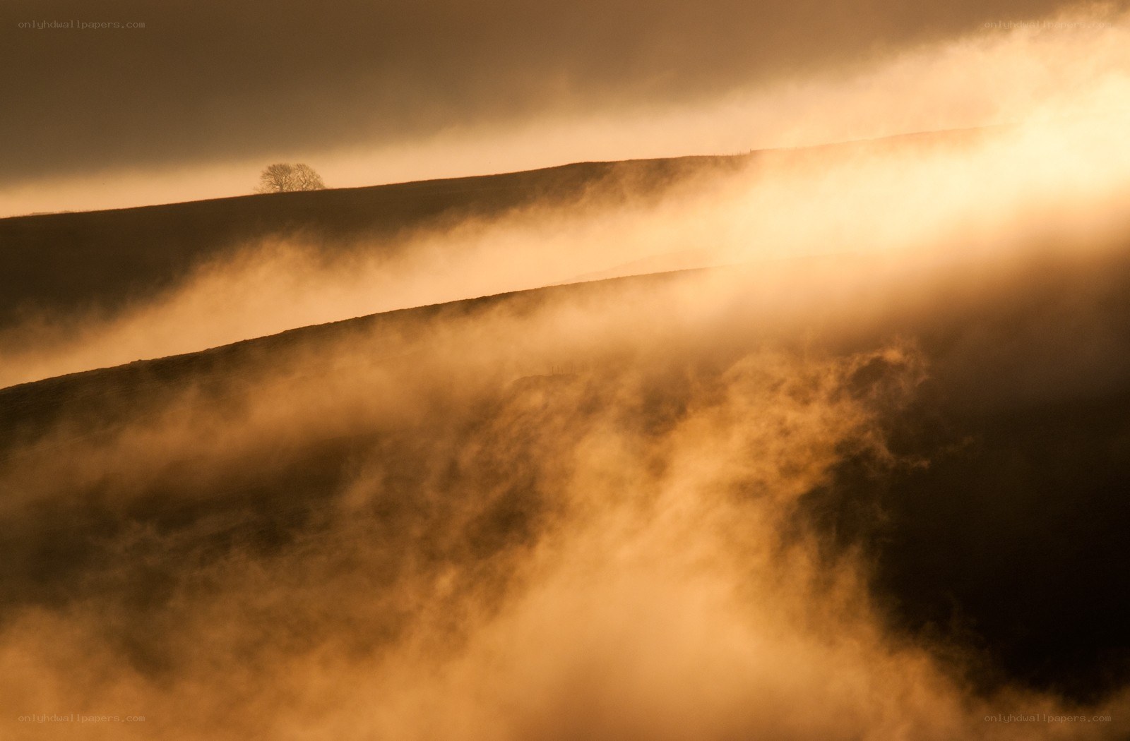 Mist over rolling hills
