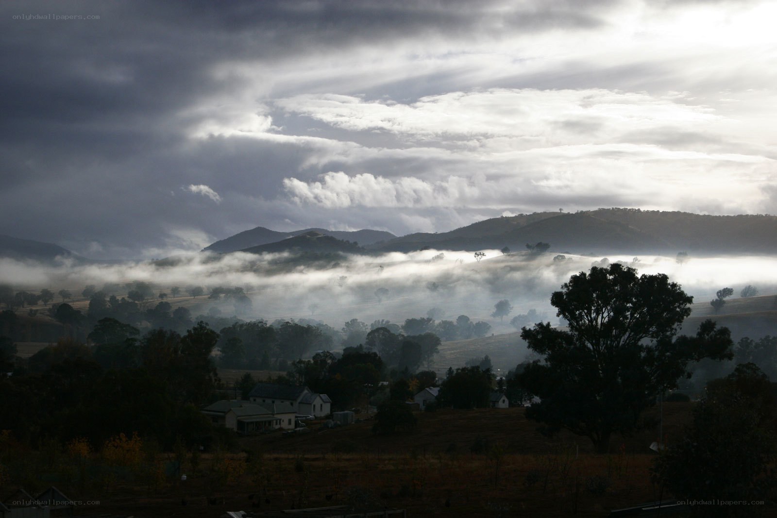 Mist over rural valley