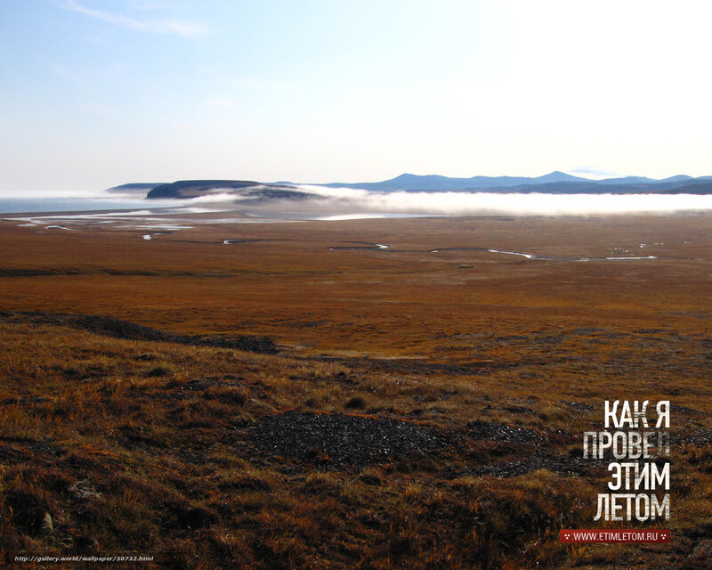 Mist over tundra landscape