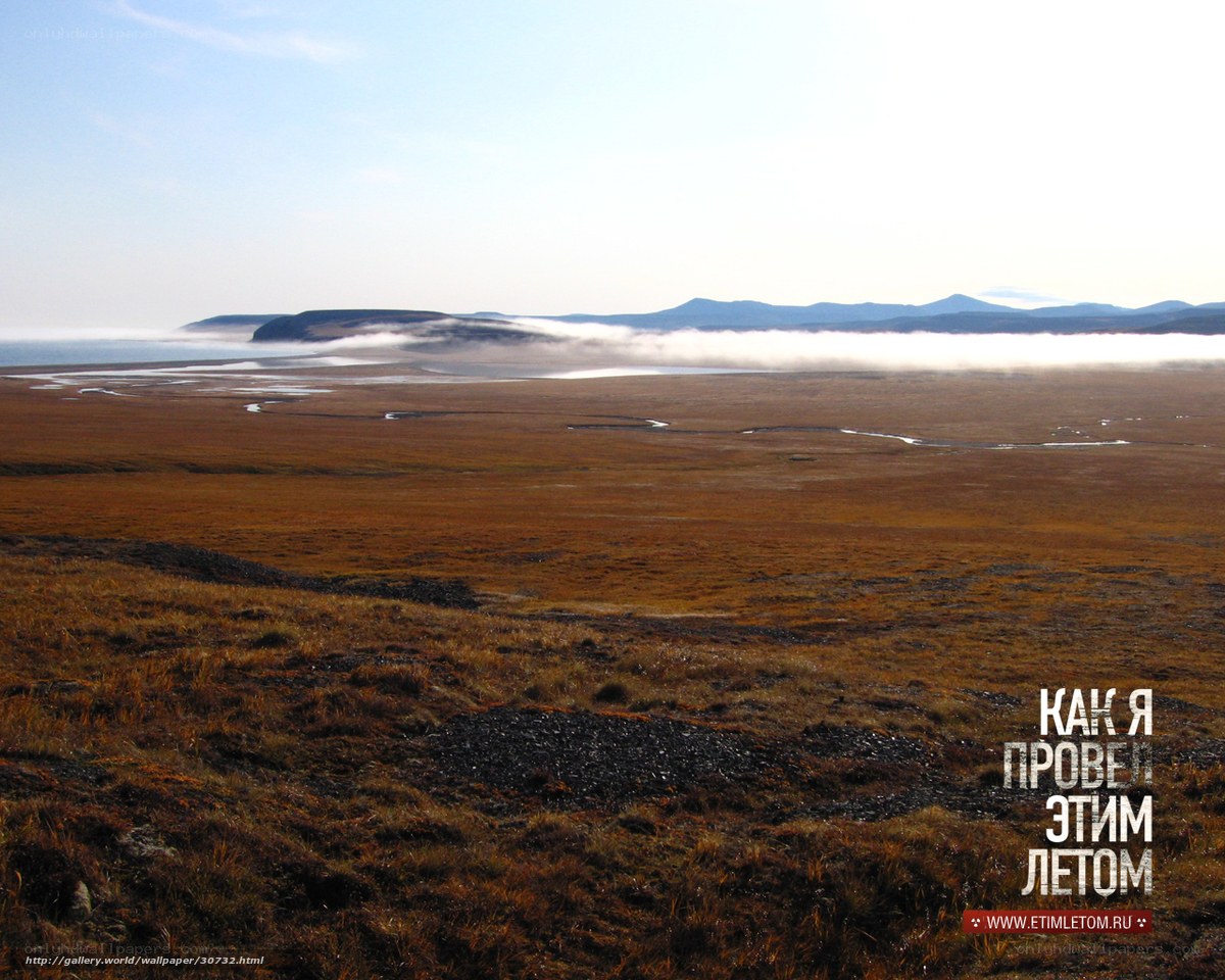 Mist over tundra landscape