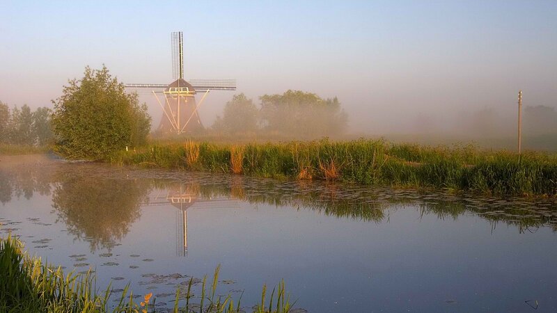 Mist over windmill at dawn
