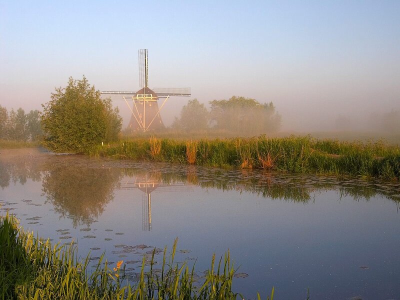 Mist over windmill at dawn
