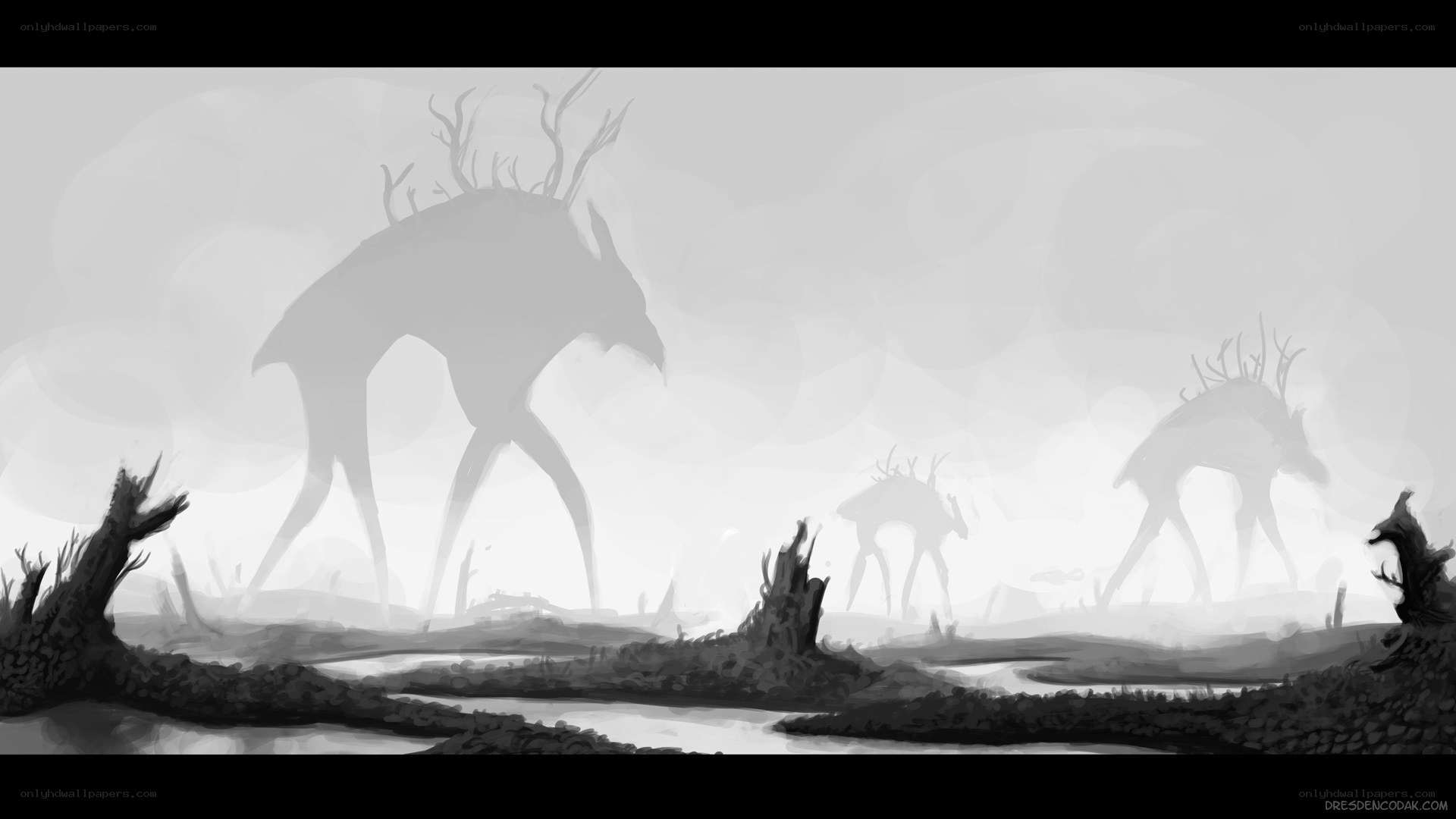 Mist-shrouded forest creatures