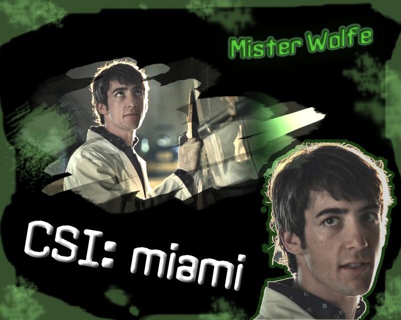 Mister Wolfe from CSI Miami