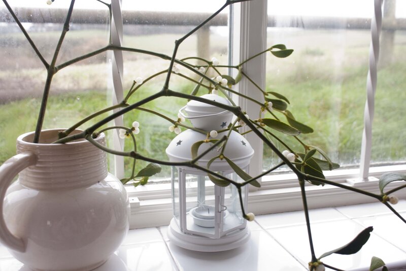 Mistletoe in Vase