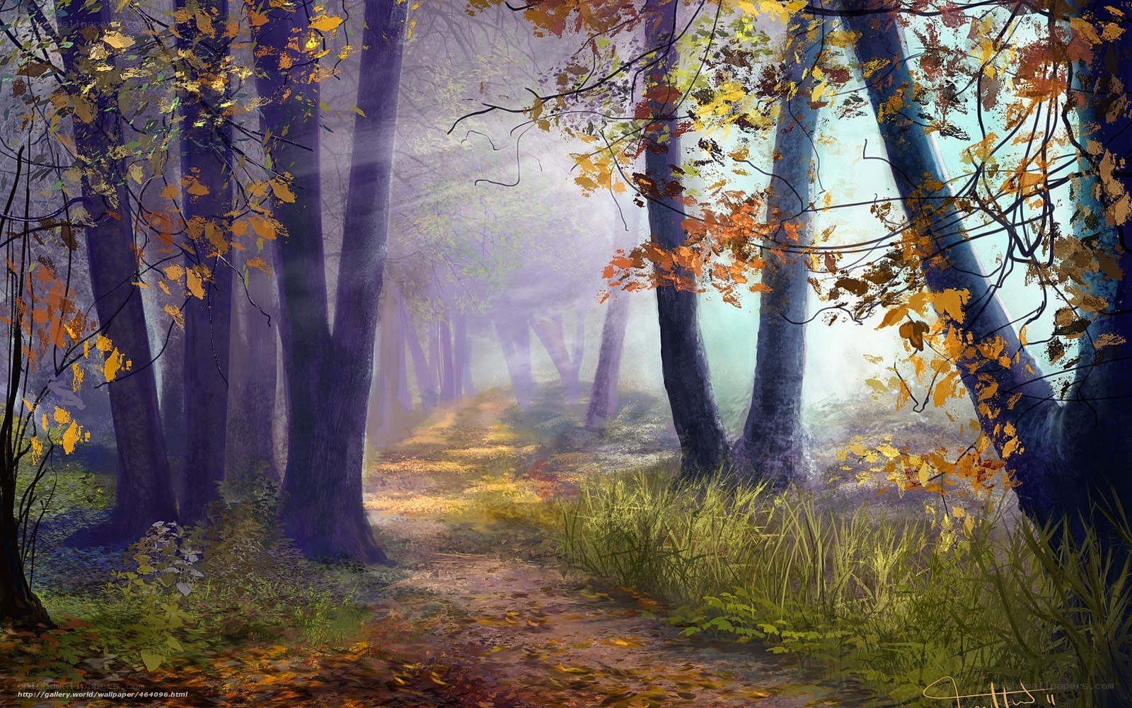 Misty autumn forest path