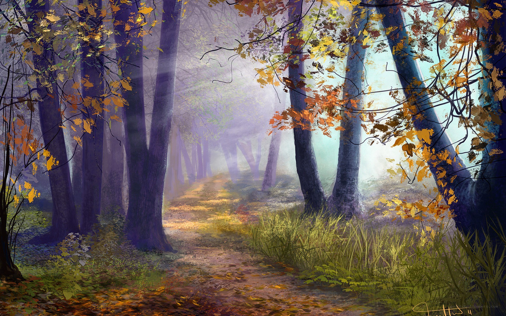 Misty autumn forest path