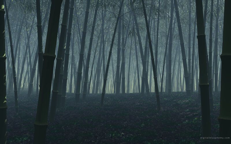 Misty bamboo forest