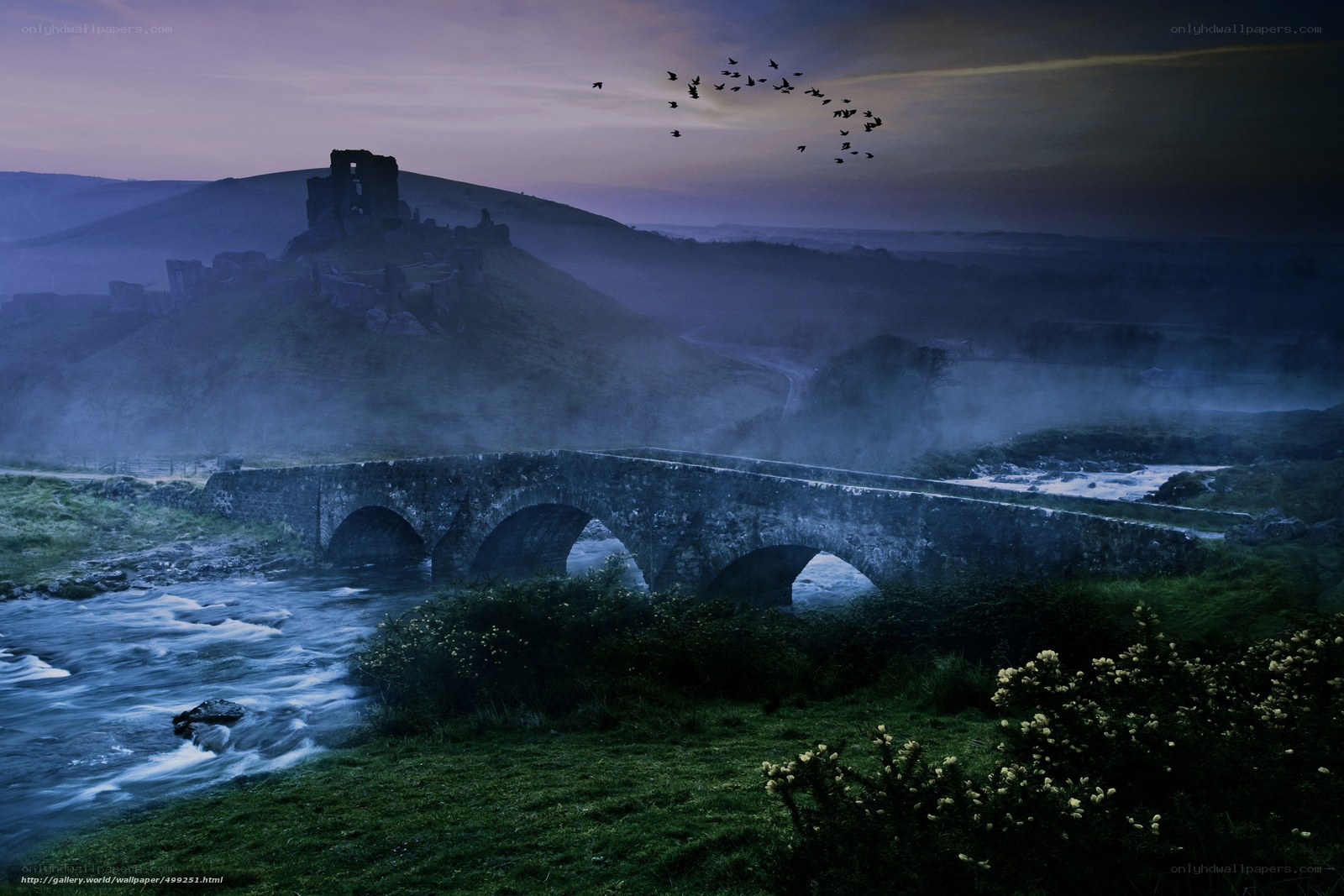 Misty Bridge and Castle Ruins