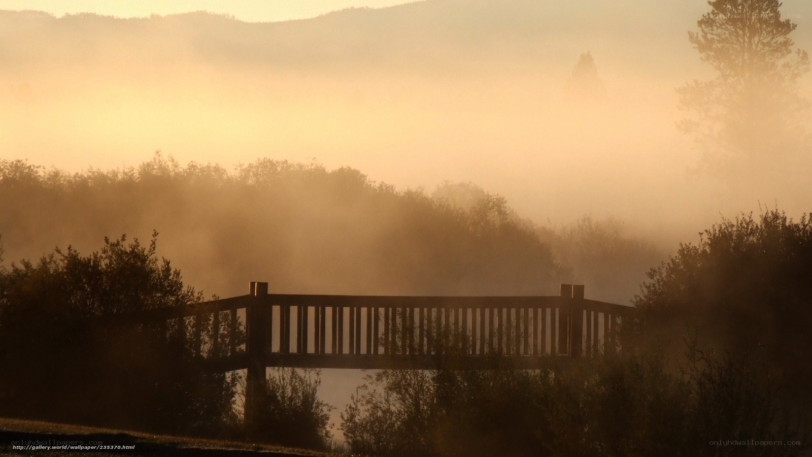 Misty Bridge at Sunrise