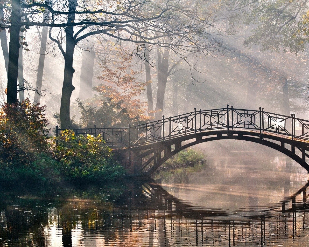 Misty bridge in autumn forest