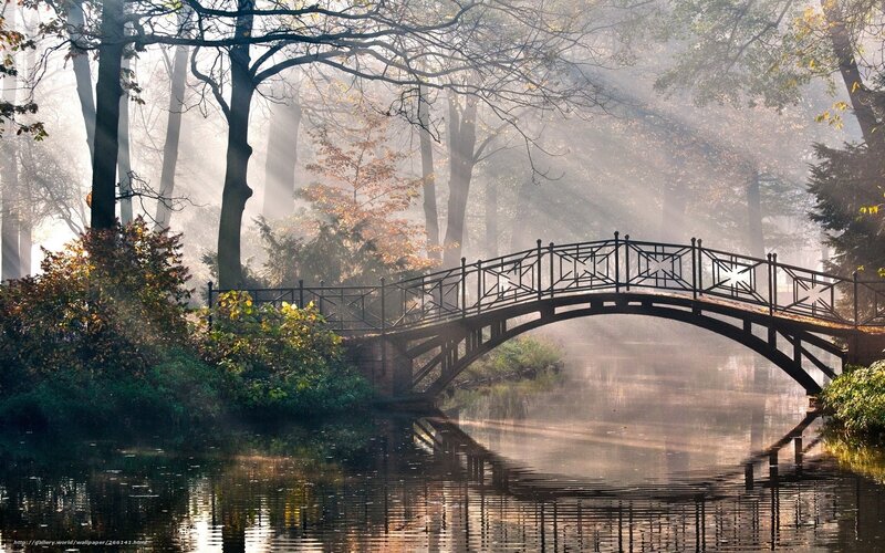Misty bridge in autumn forest