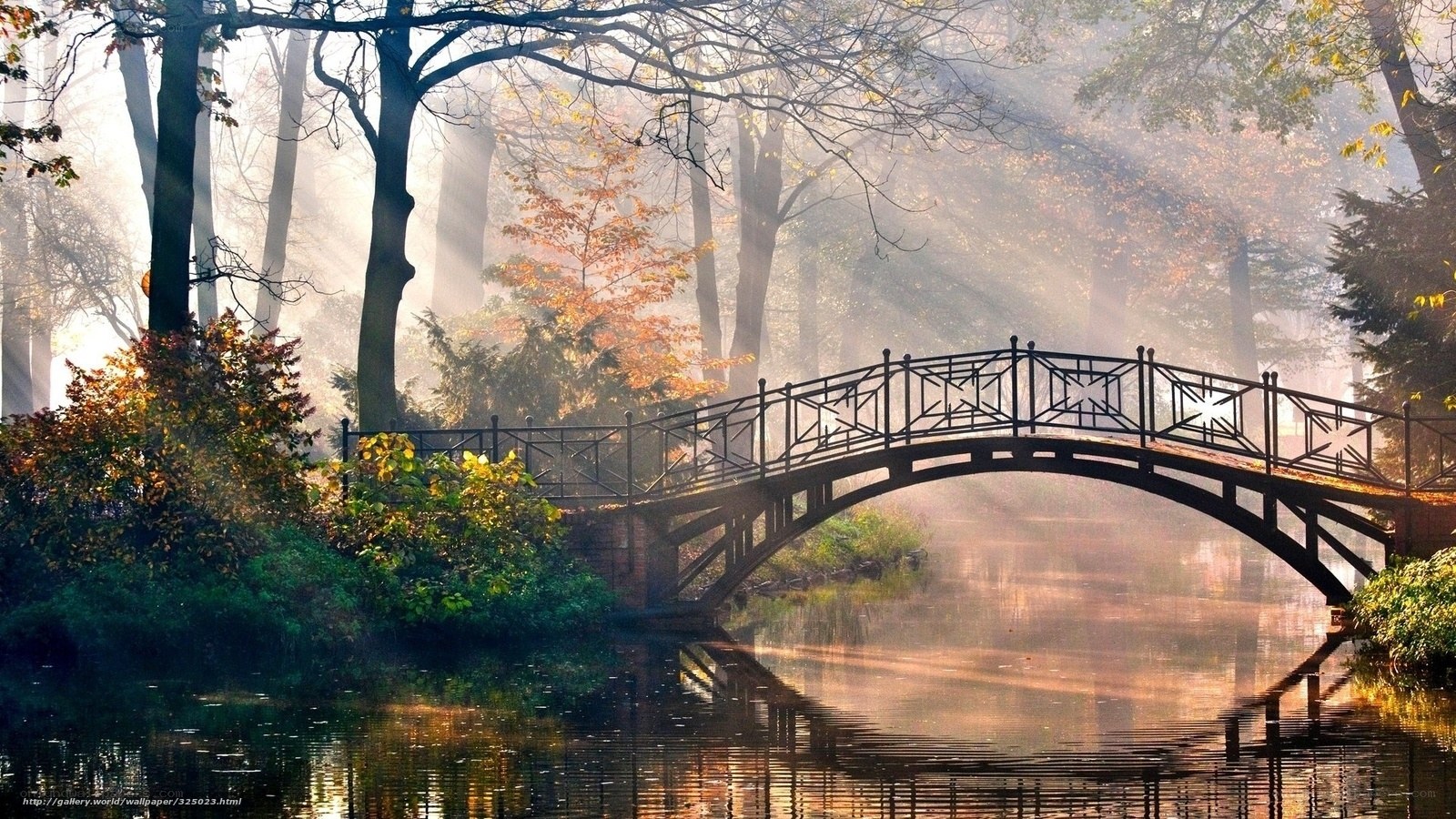 Misty Bridge in Autumn Forest