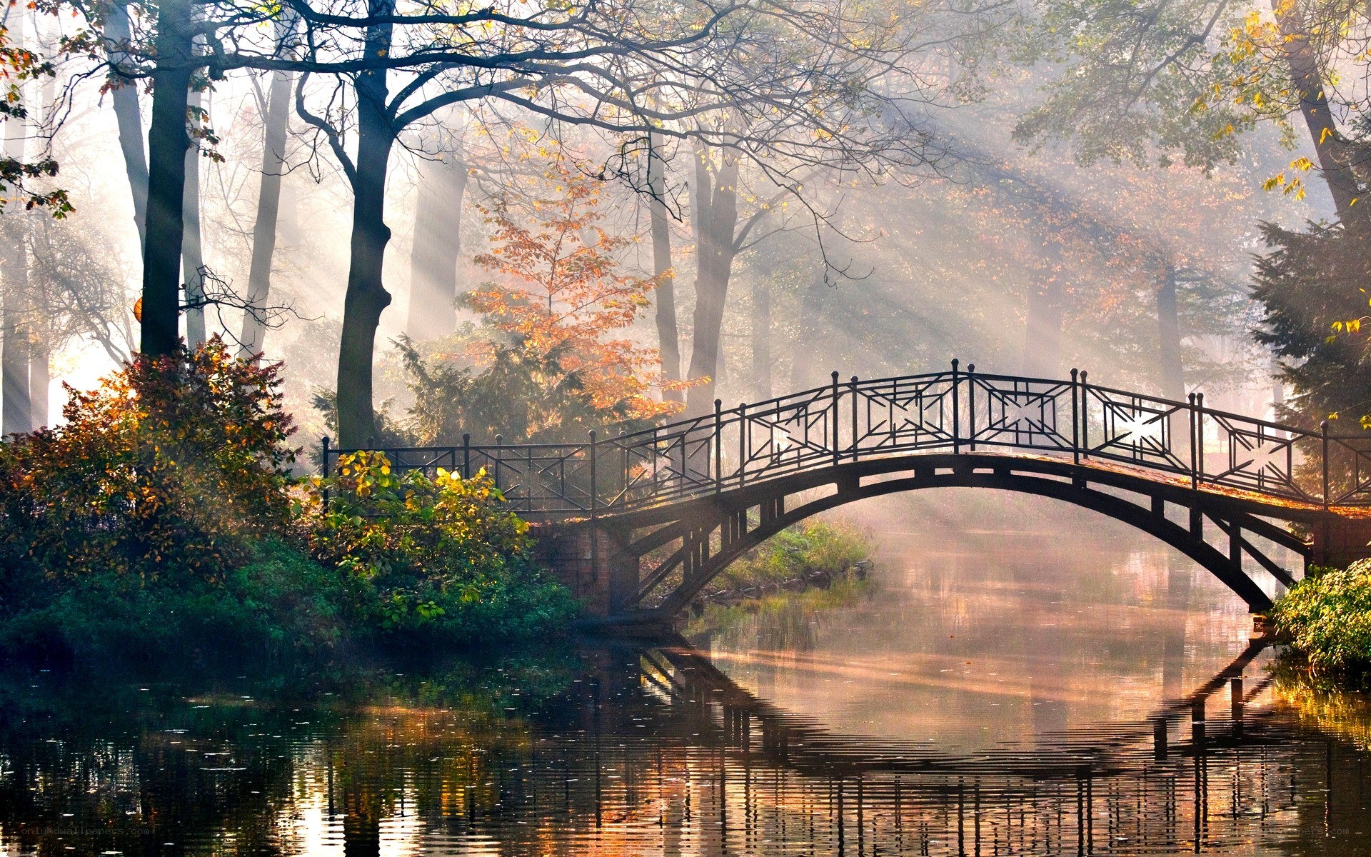 Misty bridge in autumn forest