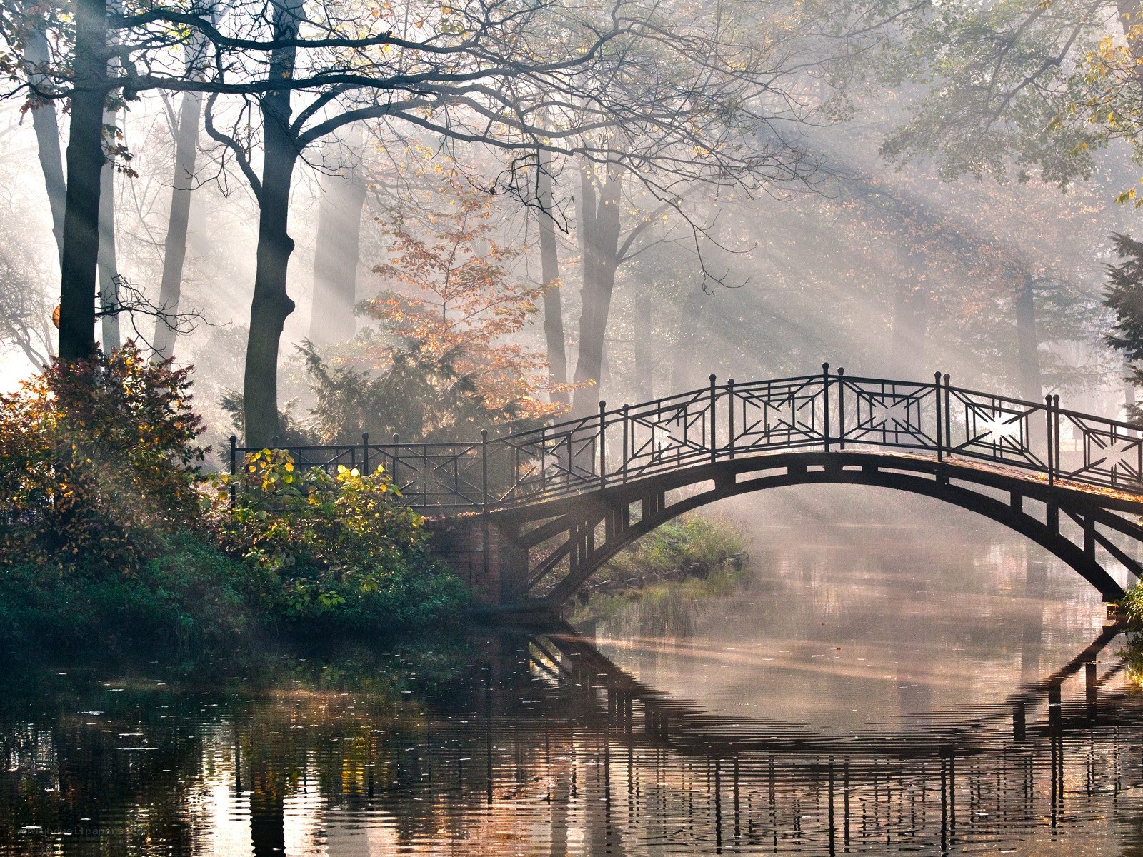 Misty bridge in autumn forest