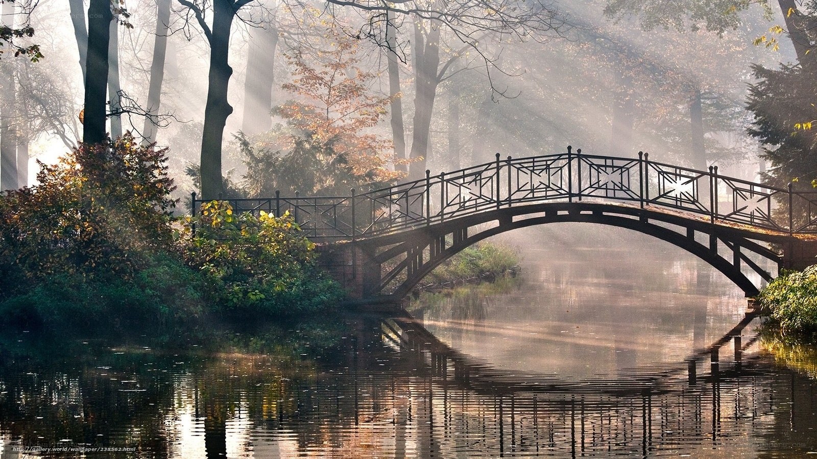 Misty bridge in autumn forest