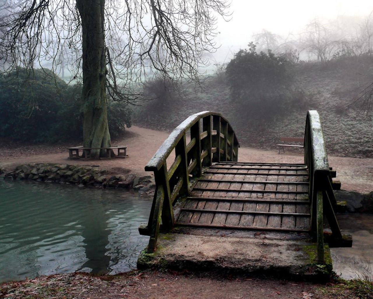 Misty bridge over a pond