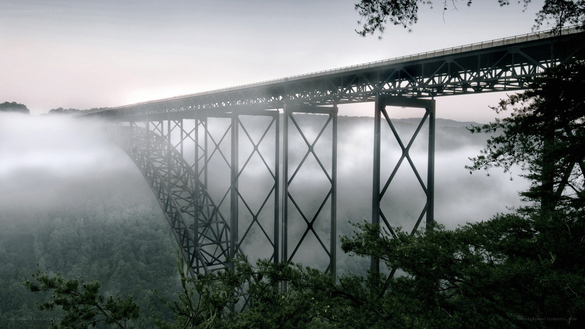 Misty bridge over forest valley