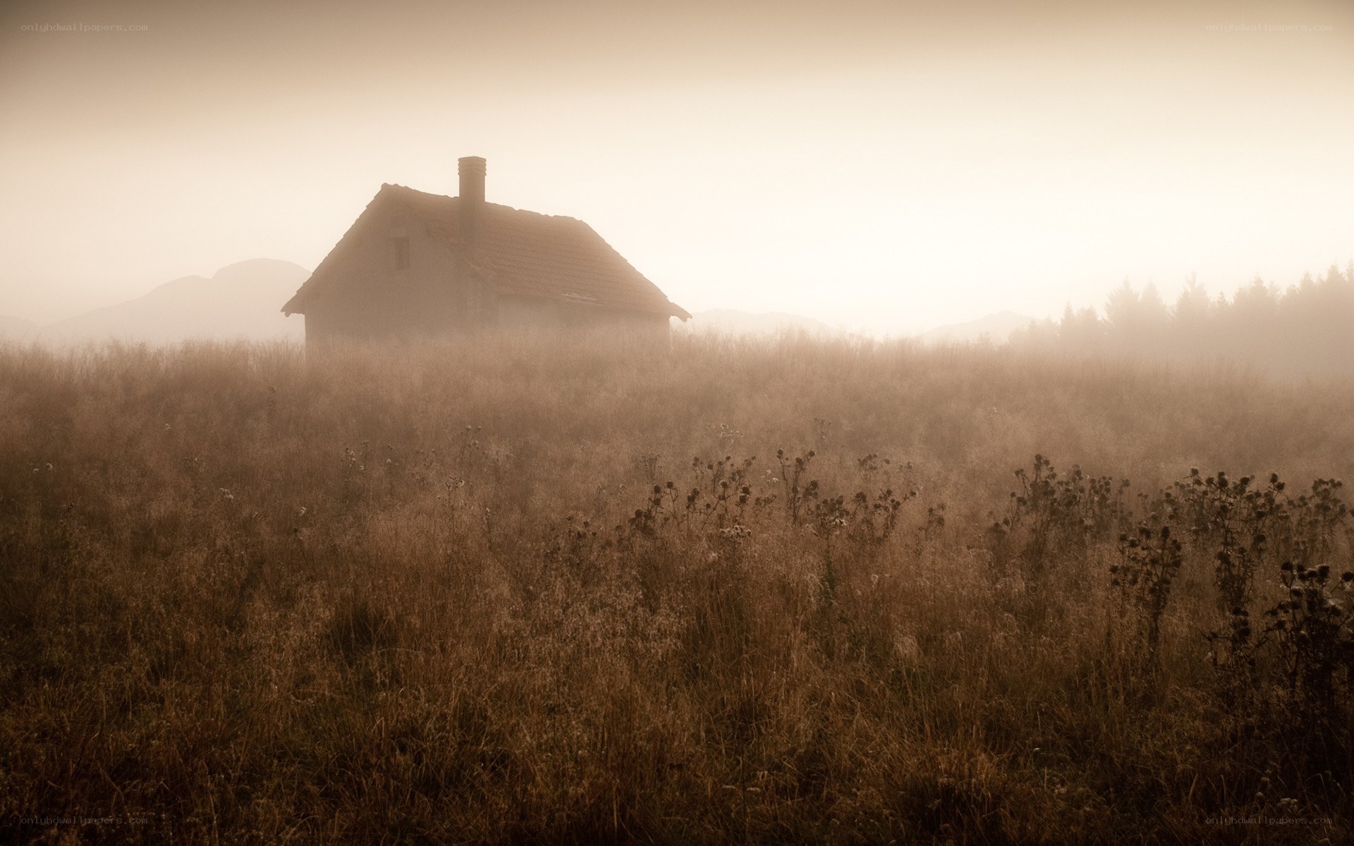 Misty cabin in a field