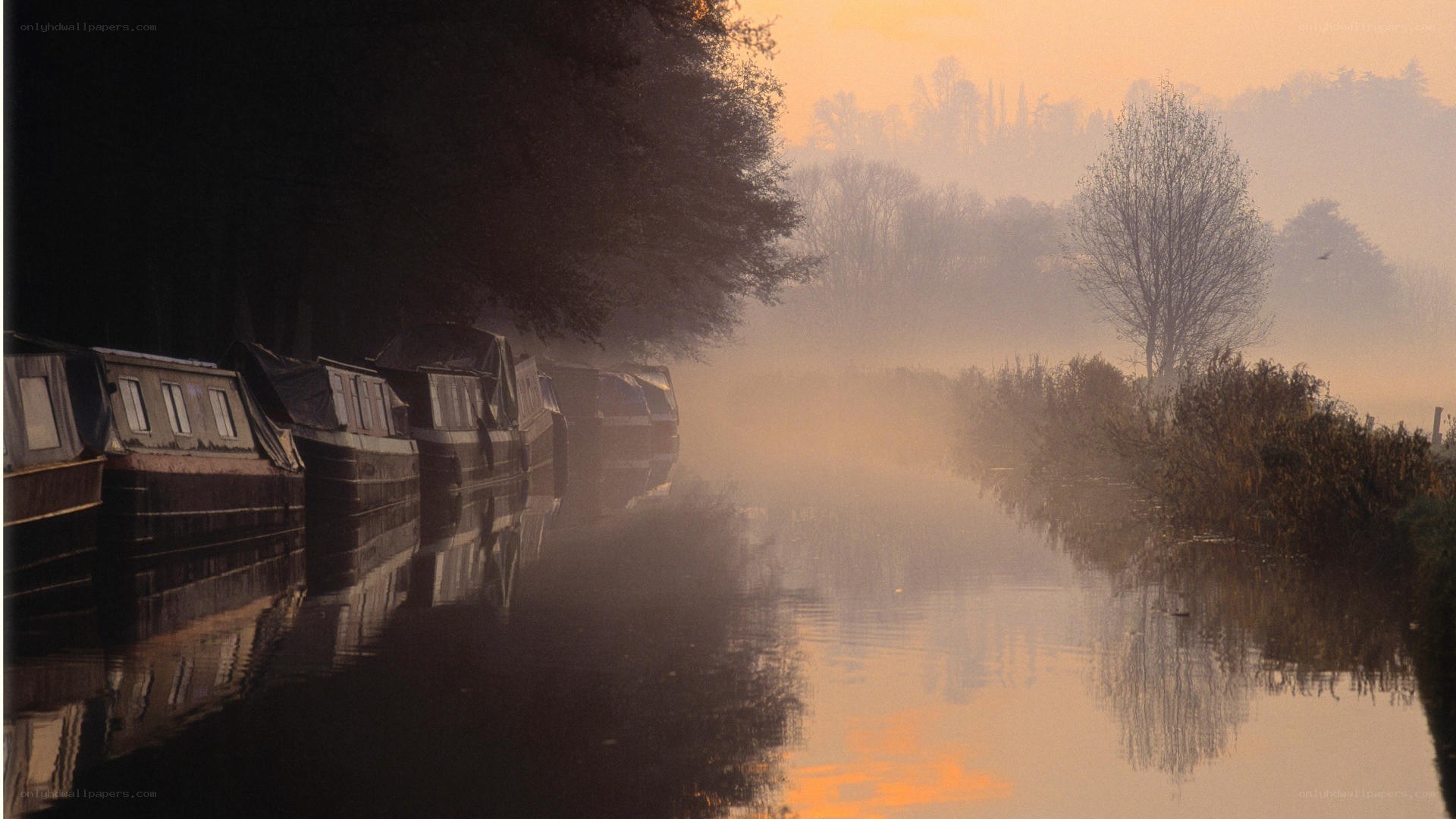 Misty canal at dawn