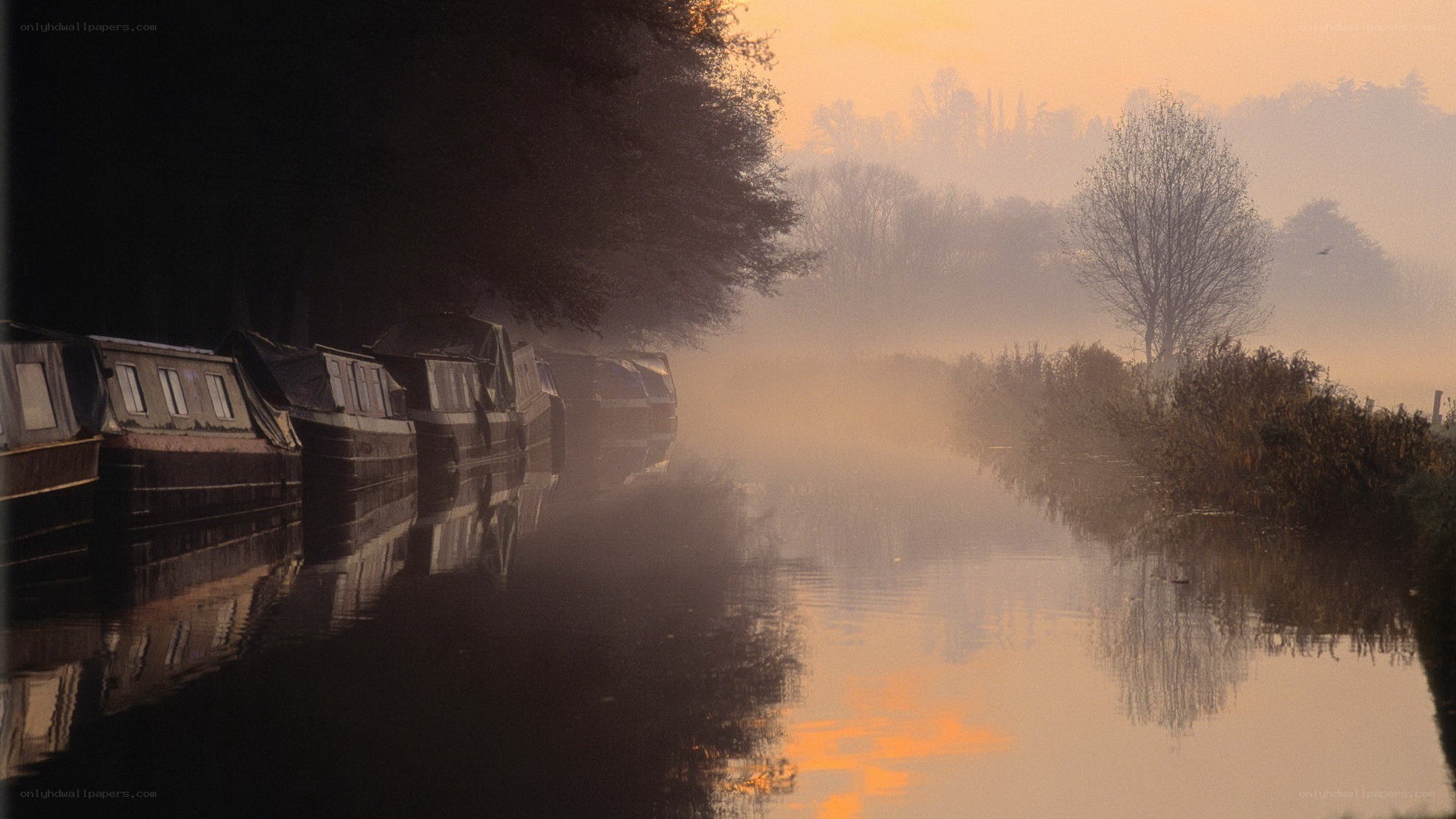 Misty canal at dawn