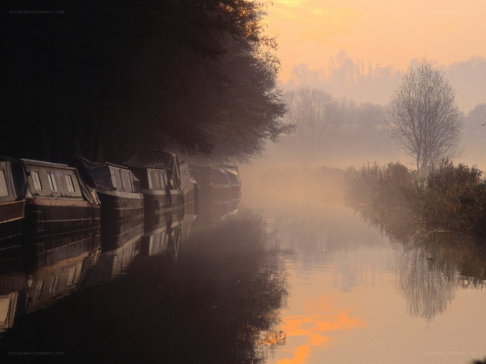 Misty canal at sunrise