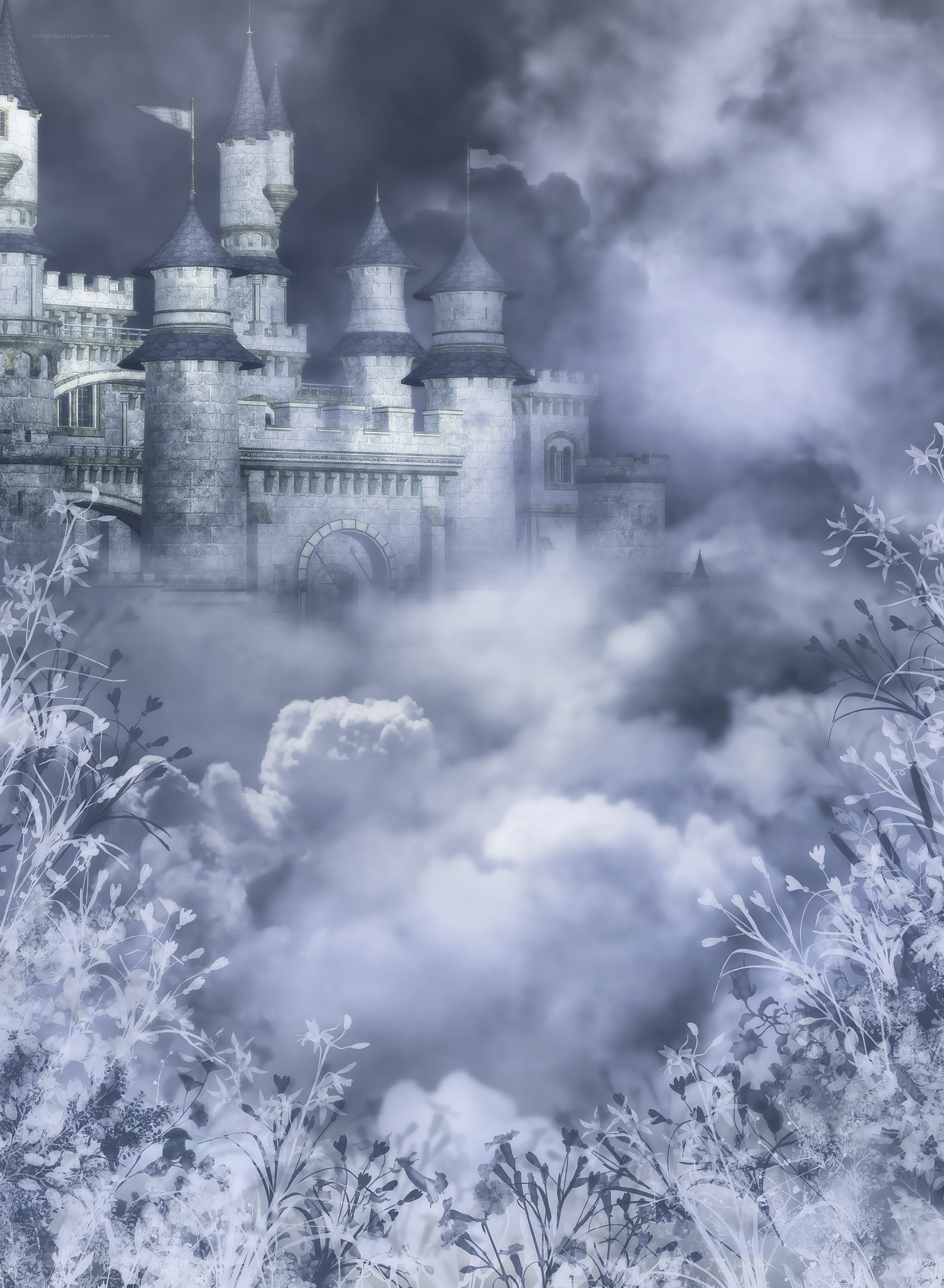 Misty castle in the clouds