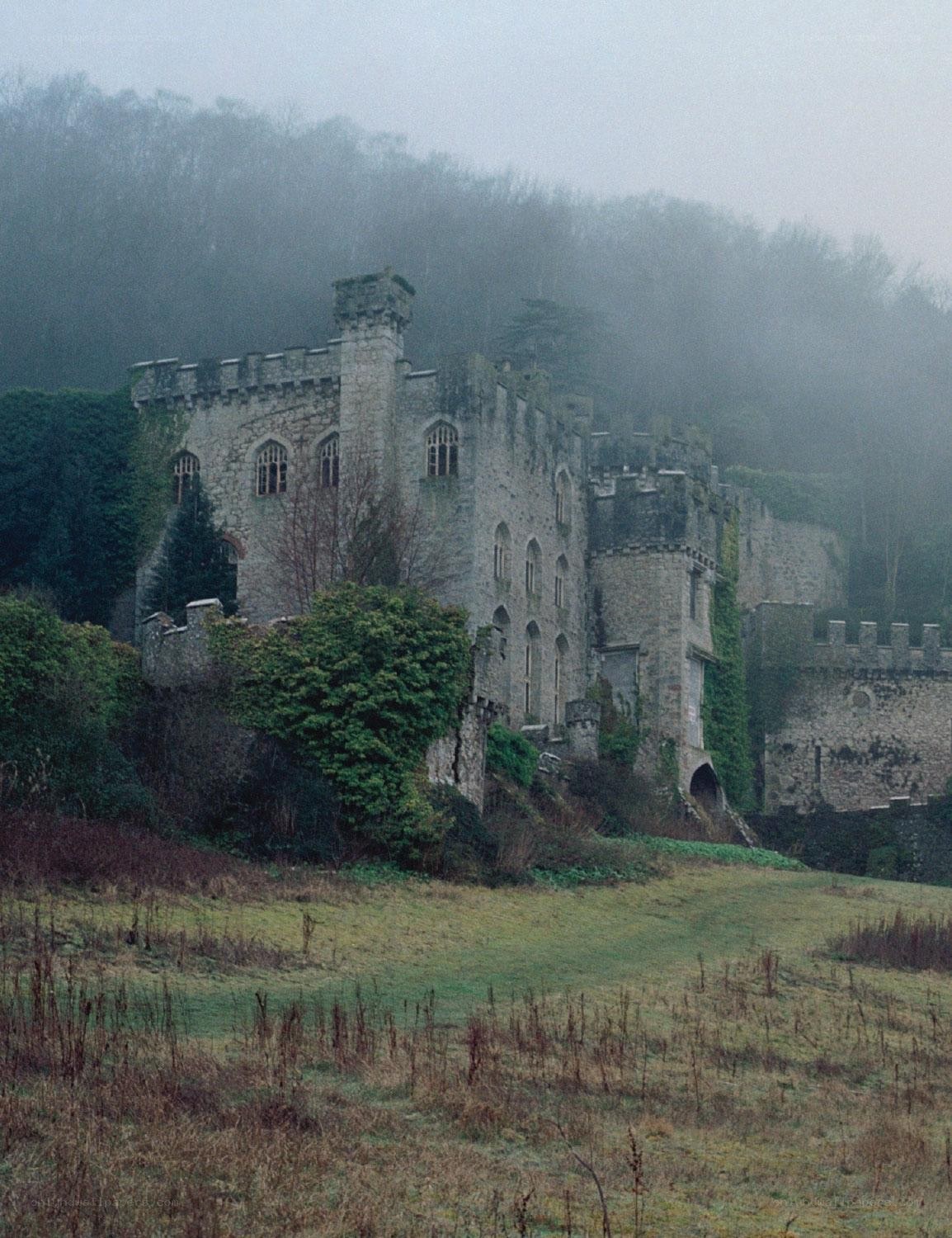 Misty castle on a hillside
