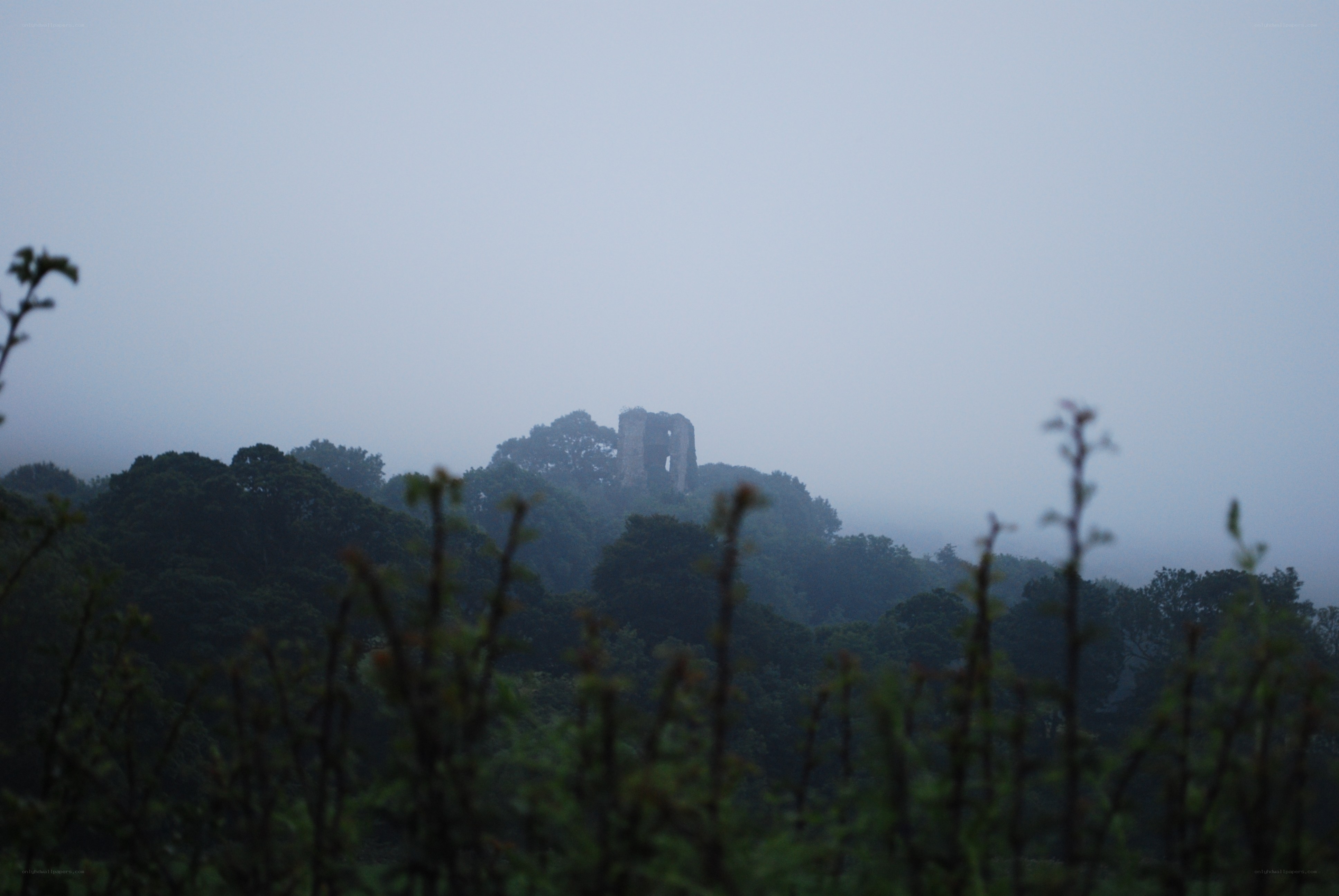 Misty castle ruins