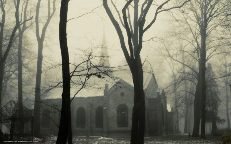 Misty church in a forest