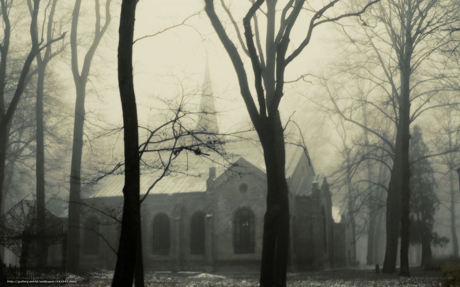 Misty church in a forest