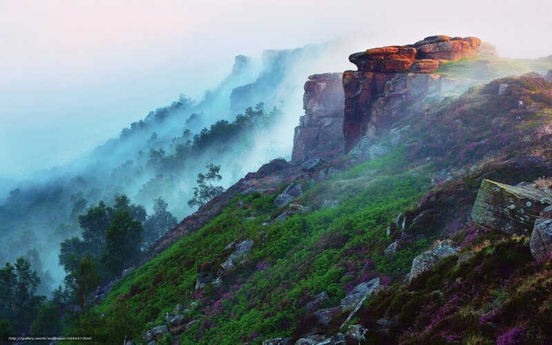 Misty Cliff with Purple Flowers