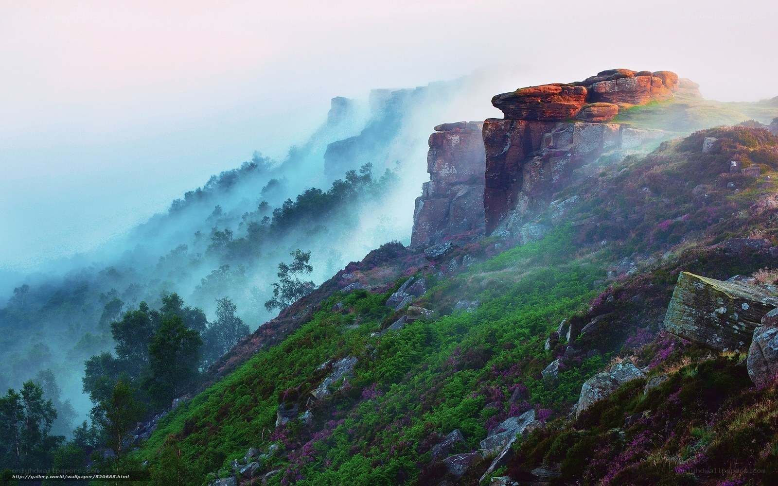Misty Cliffs at Dawn