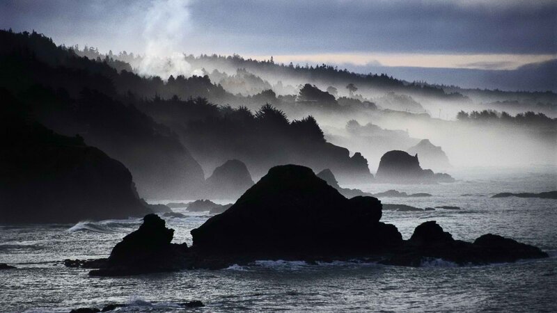 Misty coastal cliffs at dawn
