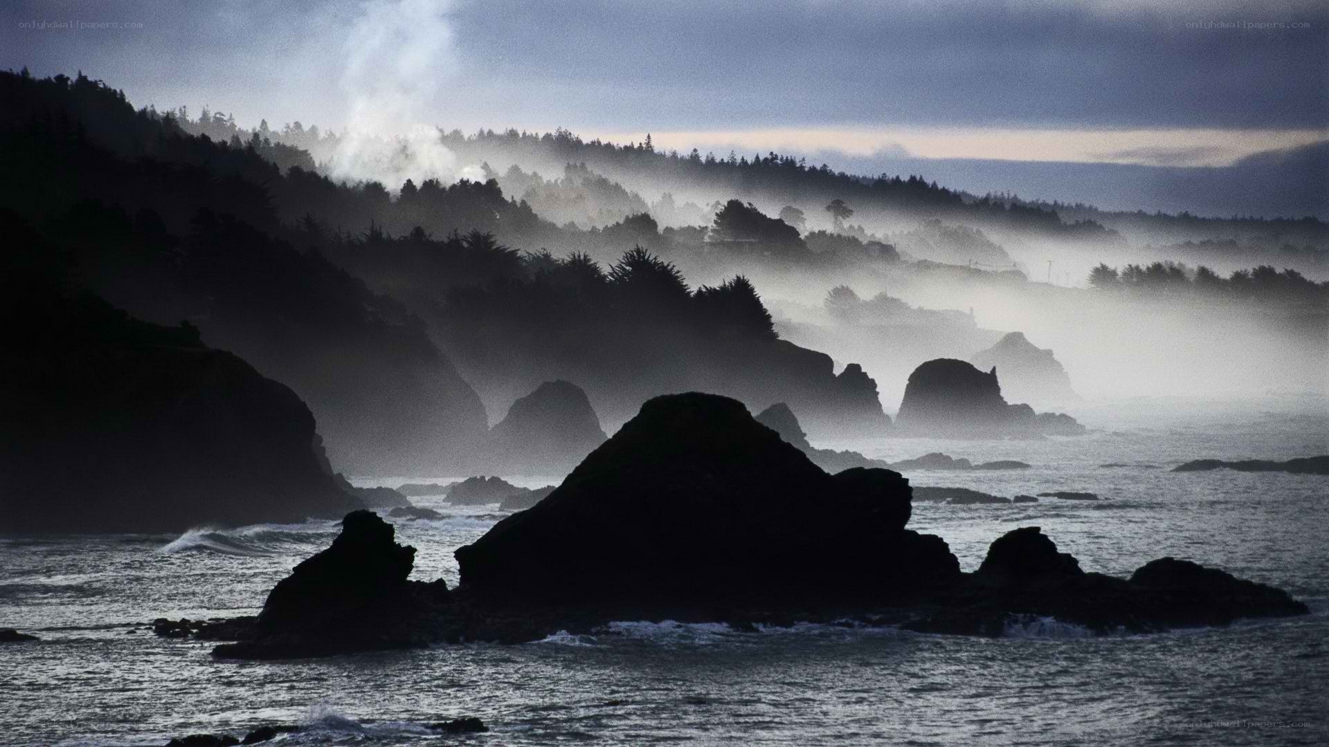 Misty coastal cliffs at dawn
