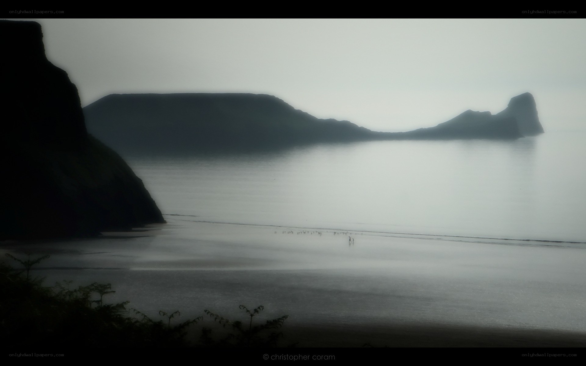 Misty coastal landscape