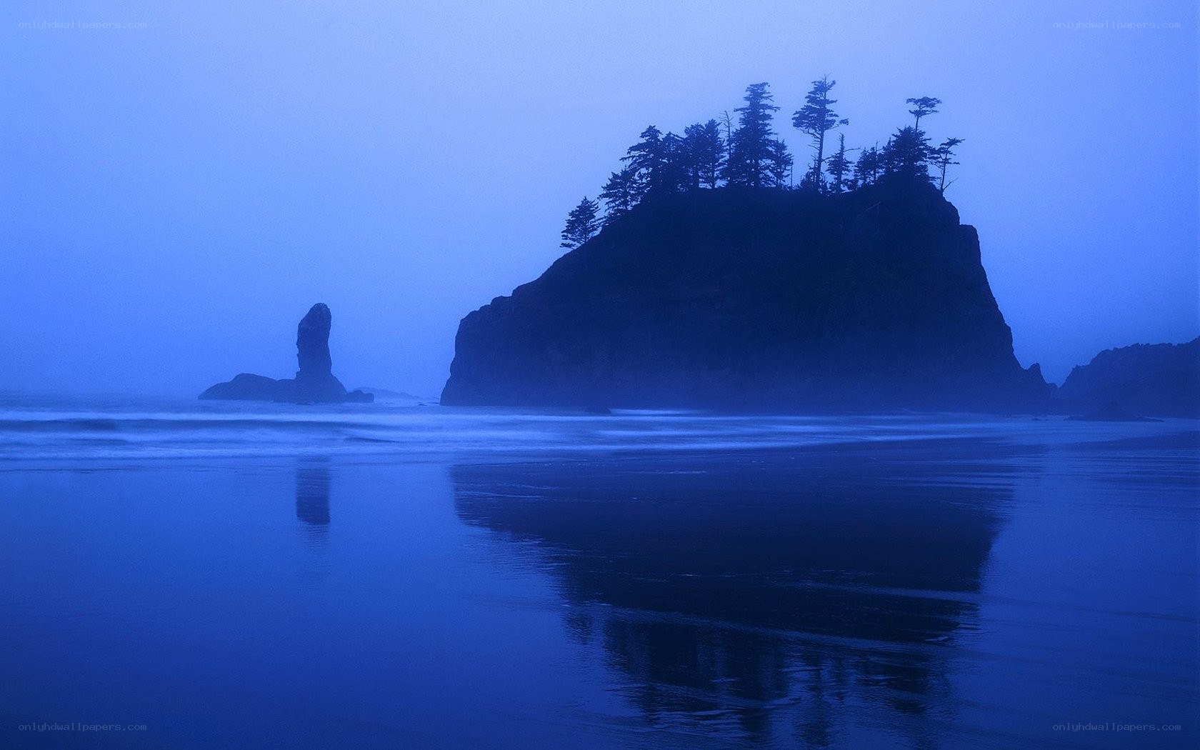 Misty coastal rock formations