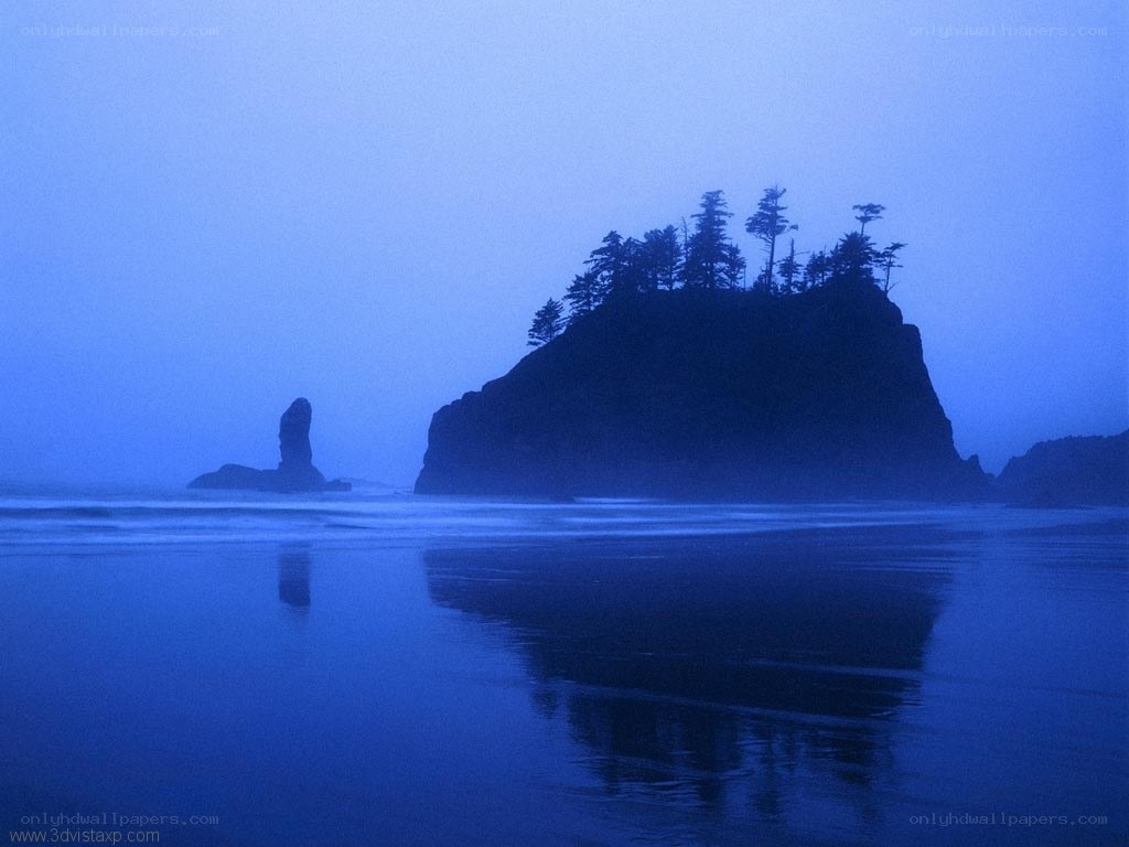 Misty coastal rock formations