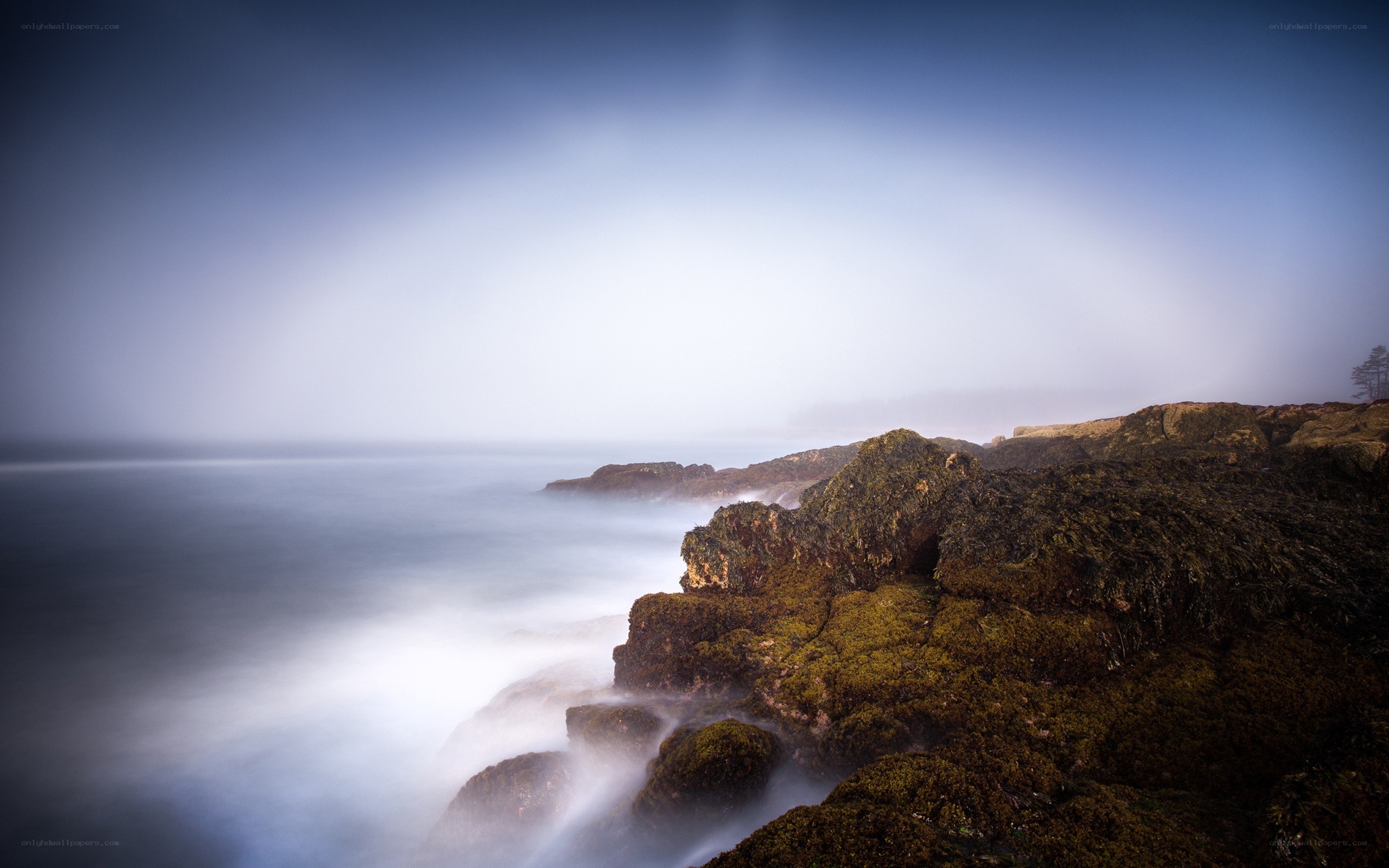 Misty coastal rocks at dawn