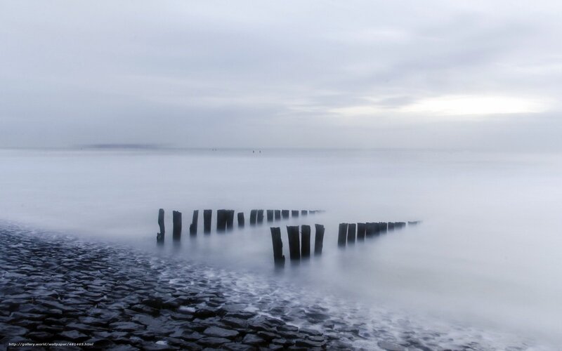 Misty coastal scene with wooden posts