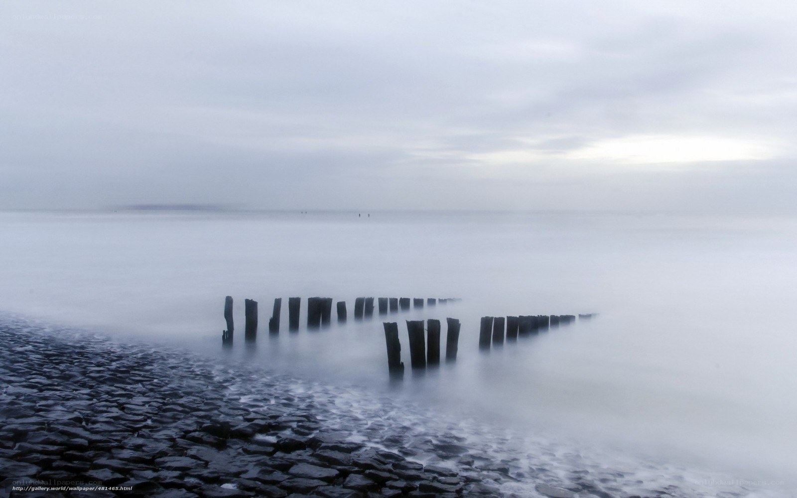 Misty coastal scene with wooden posts