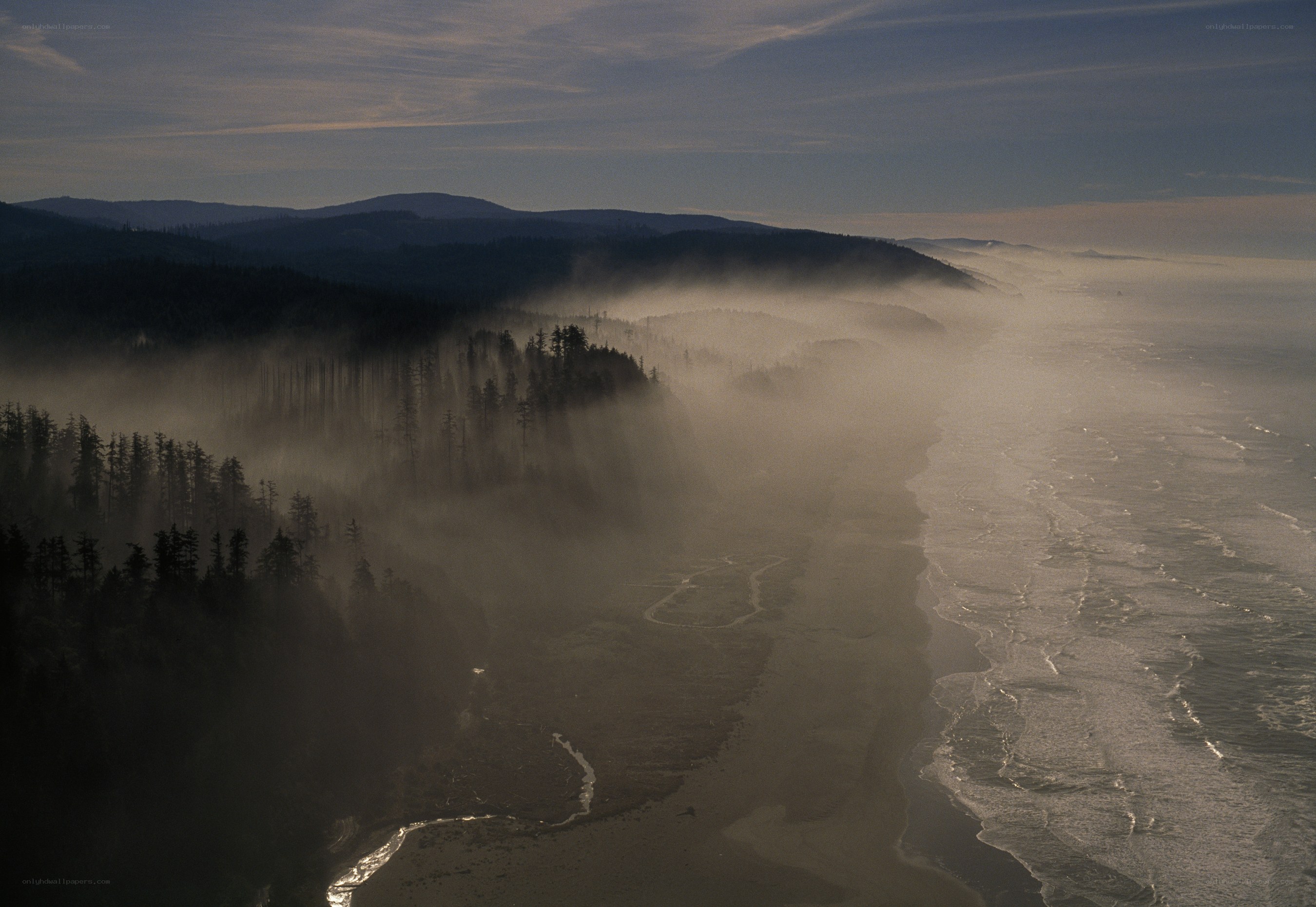 Misty Coastline at Dawn
