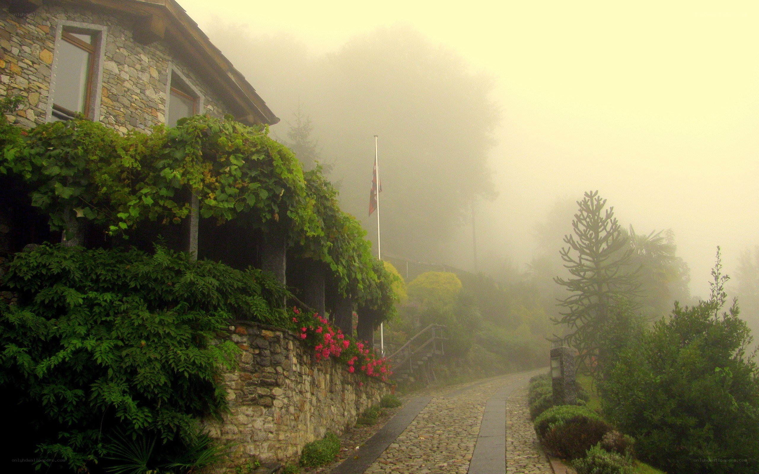 Misty cobblestone path to stone house