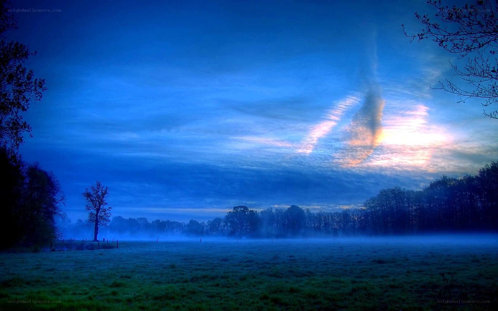 Misty dawn over a blue field