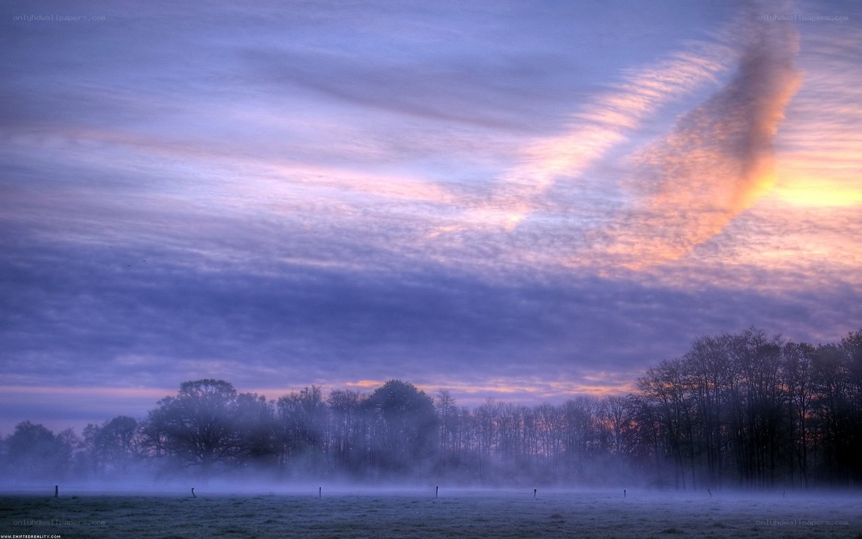 Misty dawn over a field
