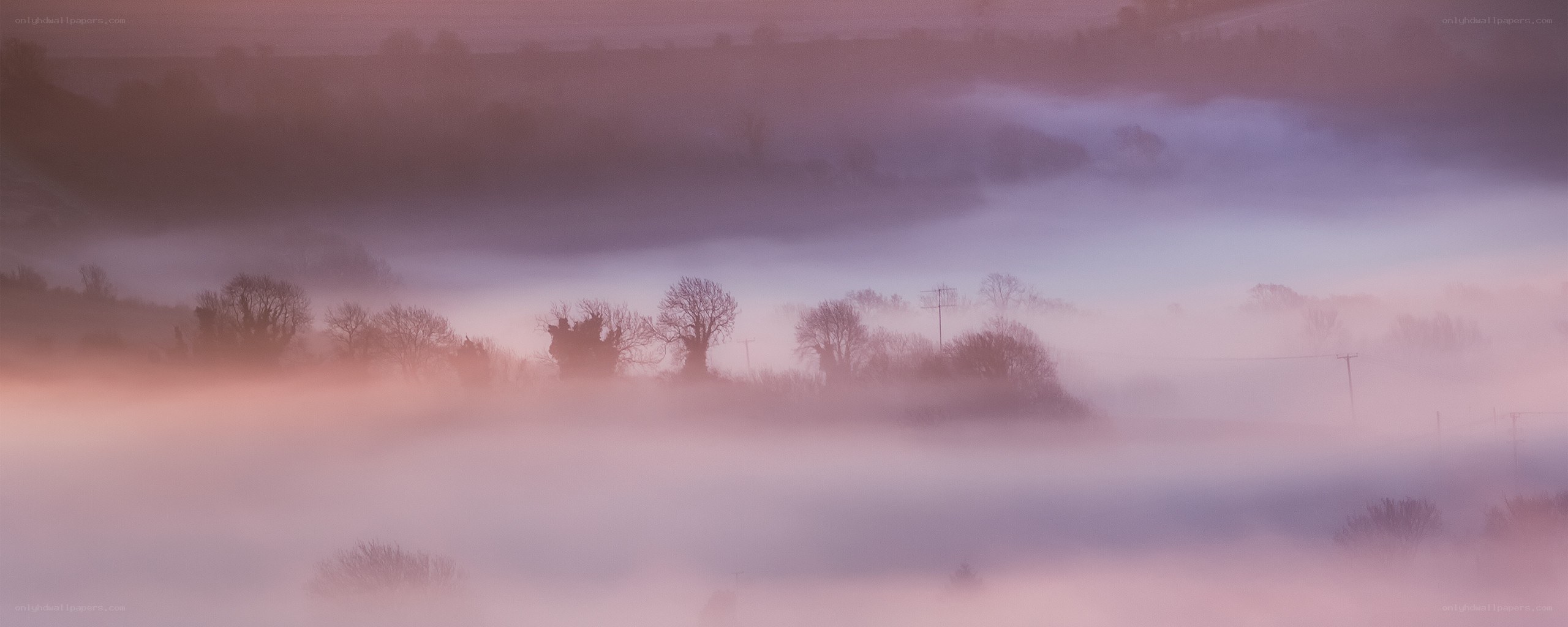 Misty dawn over rolling hills