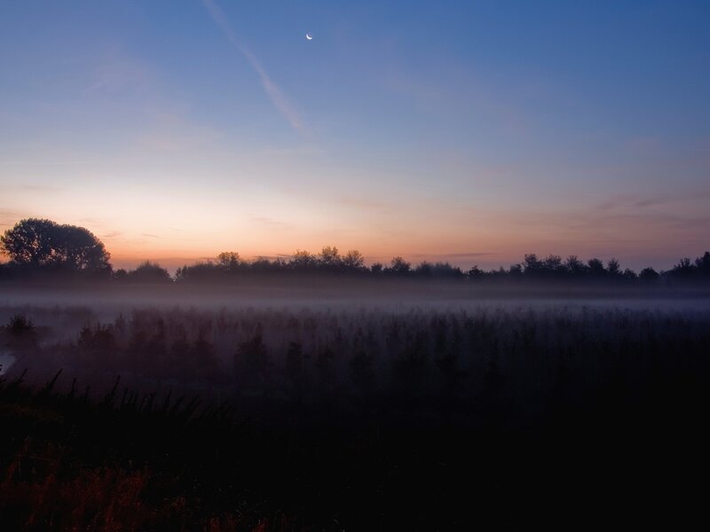 Misty dawn with crescent moon