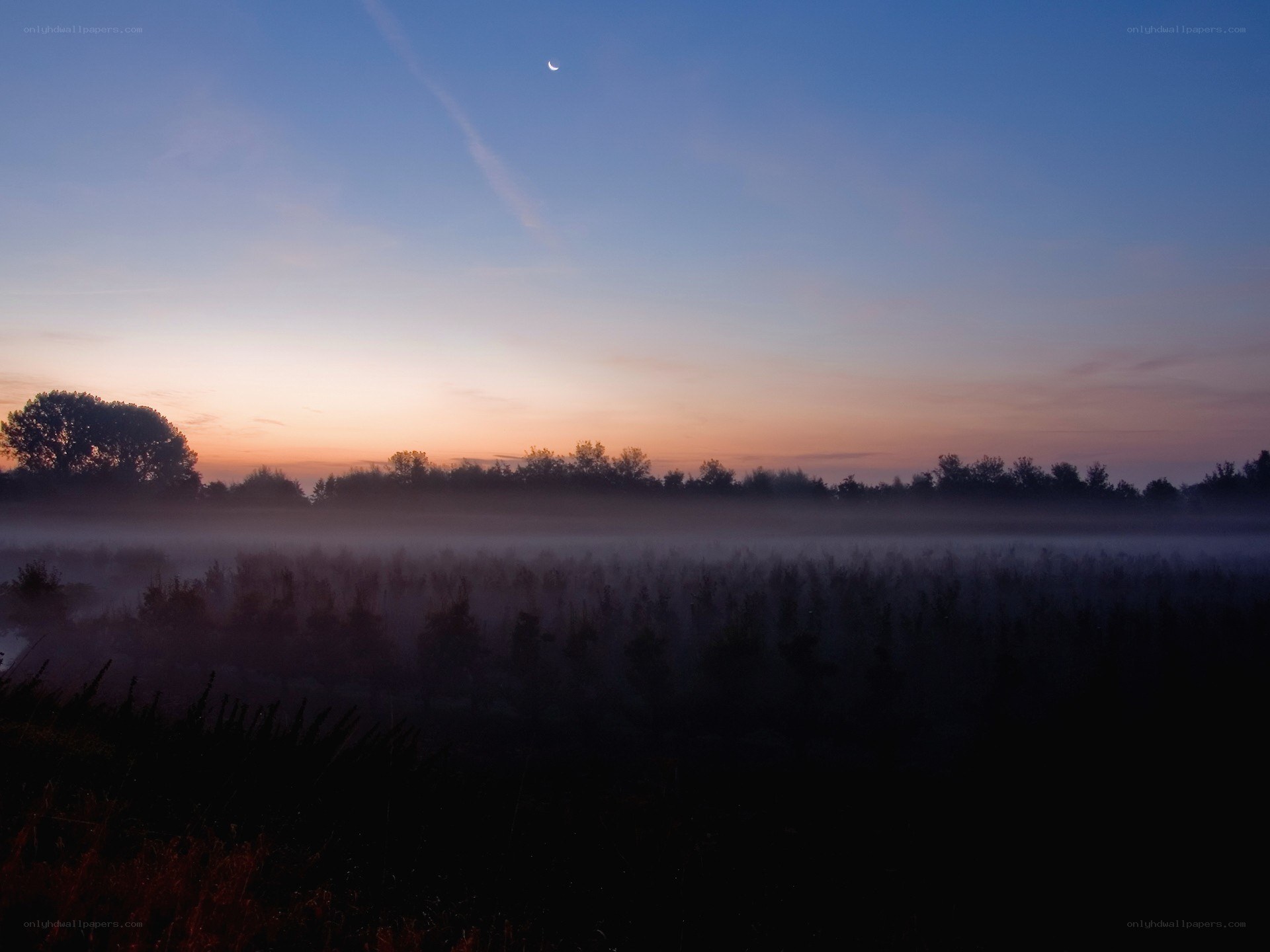 Misty dawn with crescent moon
