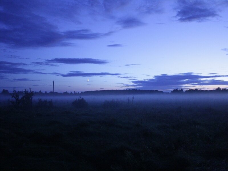 Misty dawn with crescent moon