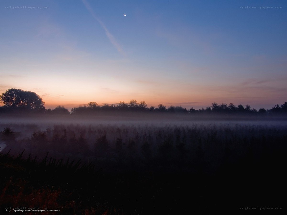 Misty dawn with crescent moon